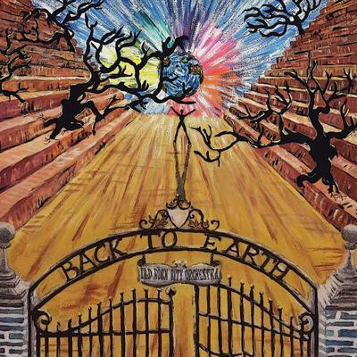 OLD ROCK CITY ORCHESTRA – Back To Earth  (CD)